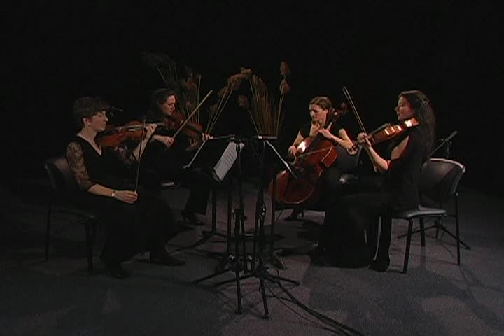 Baby Blue Arts Presents: Four Voices String Quartet