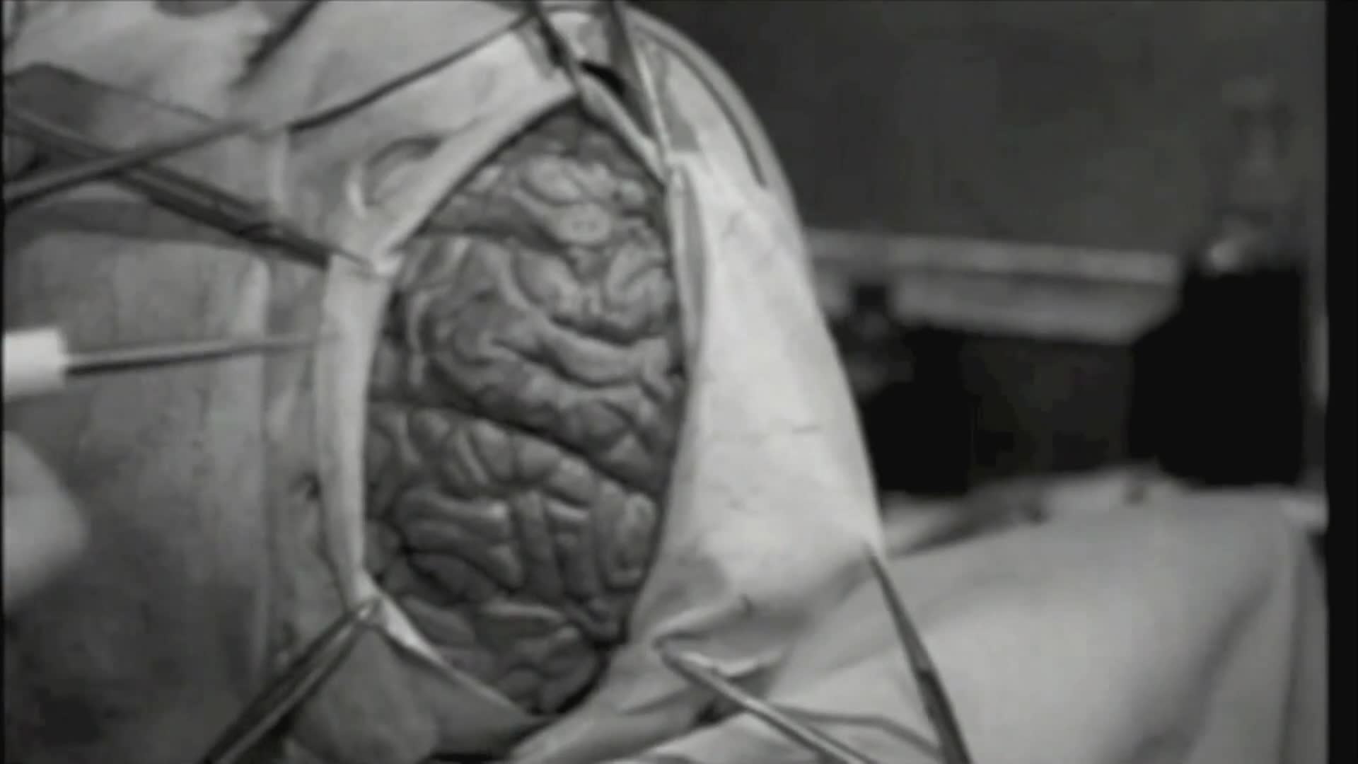 Thumbnail image for Lord Blood-Rah's Nerve Wrackin' Theater: Little Shop of Horrors