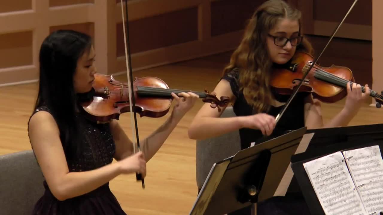 Thumbnail image for Baby Blue Arts Presents: Saint Paul Chamber Orchestra Youth Competition 2018