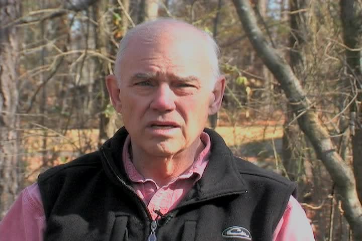 Thumbnail image for Learning About Beekeeping: Wake County Beekeeper's Feral Bee Tree