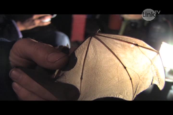 Thumbnail image for Earth Focus: Man and Nature