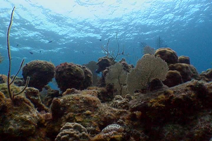 Thumbnail image for Earth Focus: Turning the Tide