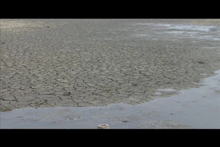 Thumbnail image for Earth Focus: Exposed - The Ugly Side of Food Production