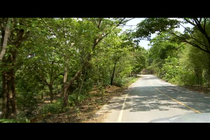 Thumbnail image for Earth Focus: Baby Elephant Smuggling Exposed