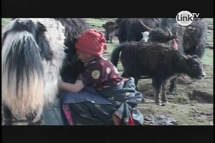 Thumbnail image for Earth Focus: Episode 14