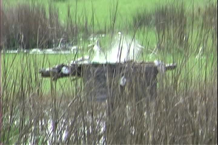 Thumbnail image for 3 Summits