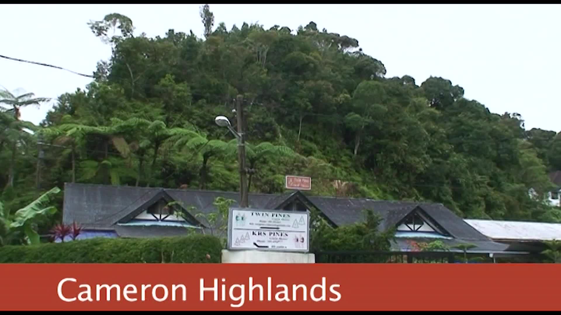 Thumbnail image for 3-Minute Adventures: Cycle Cameron Highlands, Malaysia