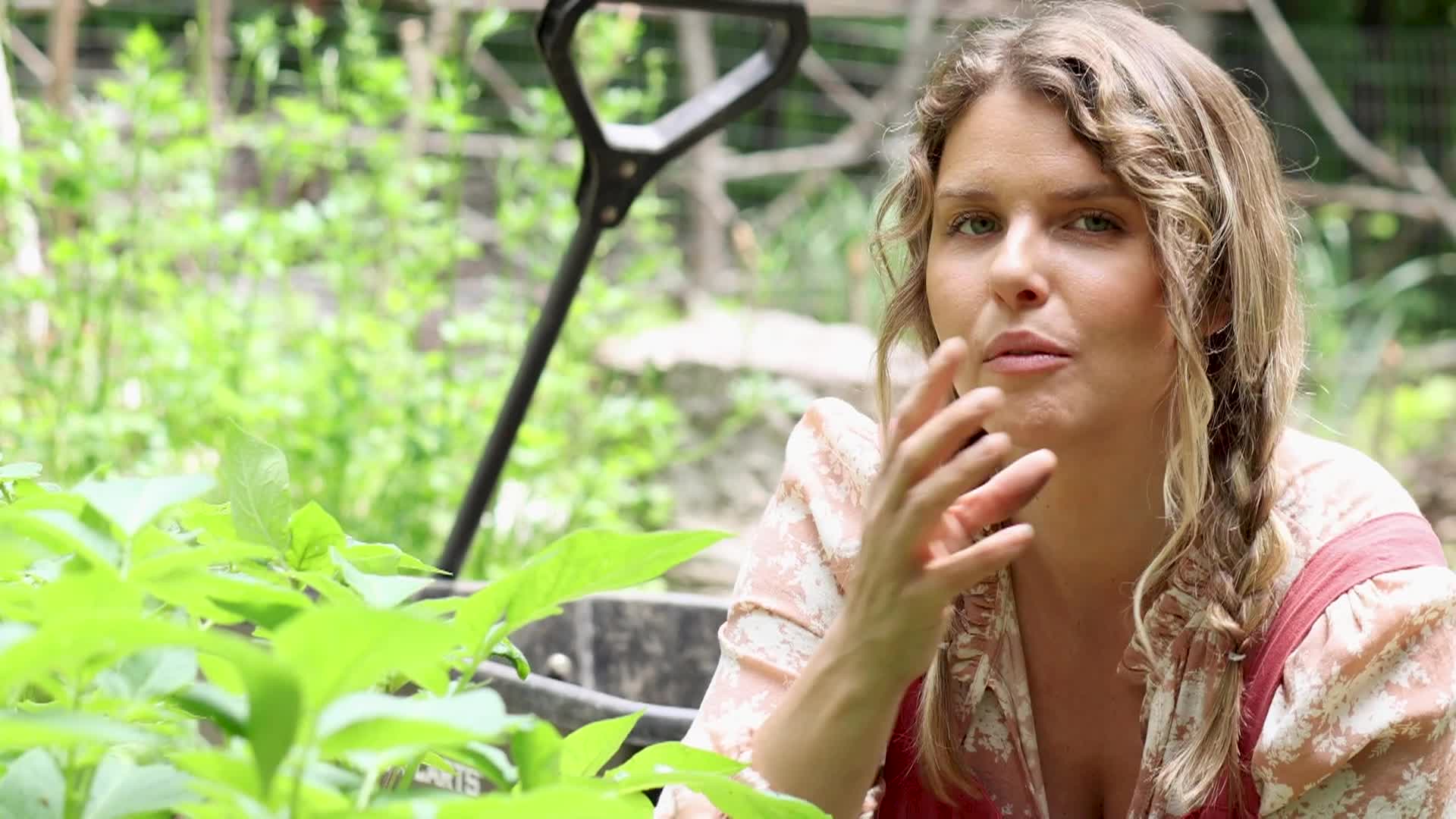 Thumbnail image for Our Gardens: June, 2024