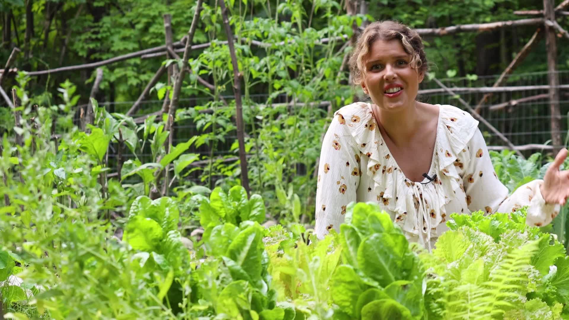 Thumbnail image for Our Gardens: July, 2024