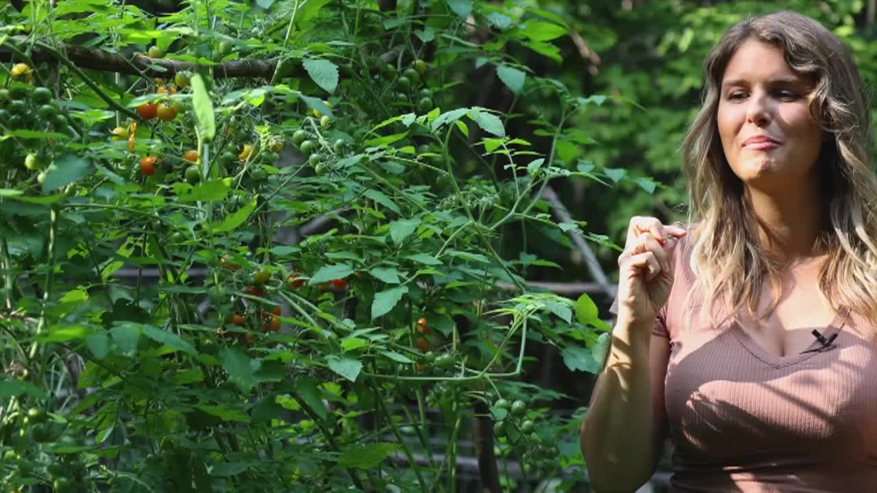 Thumbnail image for Our Gardens: August, 2024