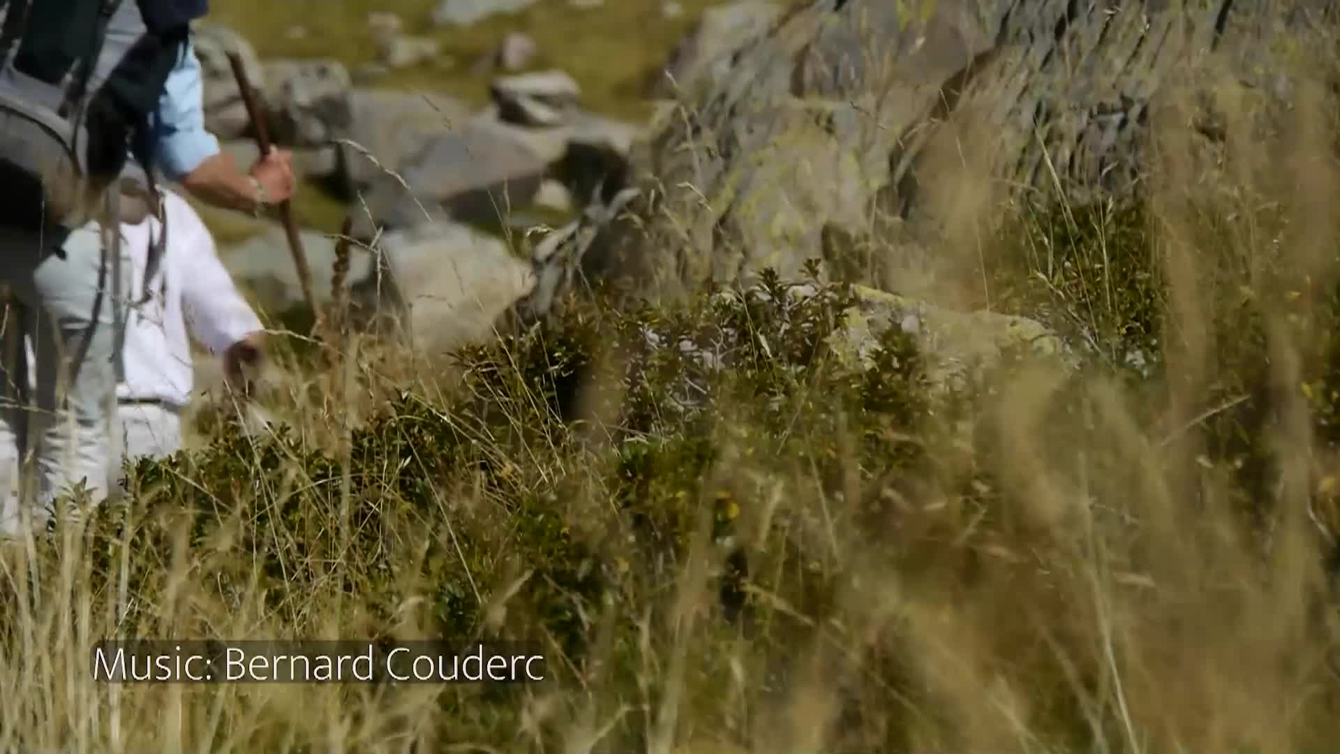 Thumbnail image for Strata: Portraits of Humanity - June 2024