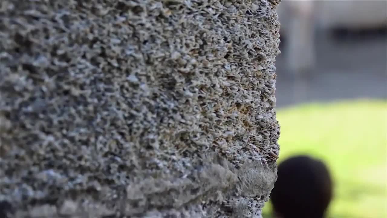 Thumbnail image for Undiscovered America: Pirates, Palms, & Picturesque Peaks - An American Adventure