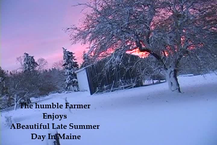 Thumbnail image for The Humble Farmer - Feeding The Animals