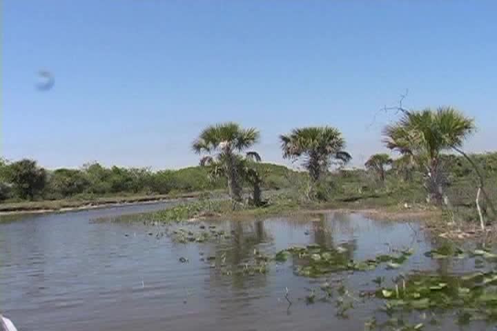 Thumbnail image for The Humble Farmer - Humble Drives to Town