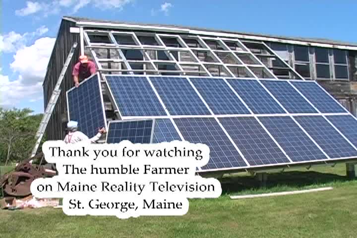 Thumbnail image for The Humble Farmer - Weeding Rhubarb