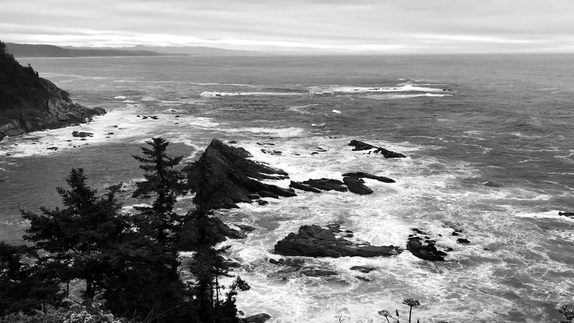 Thumbnail image for In Oregon Naturally - A Brooding Sea
