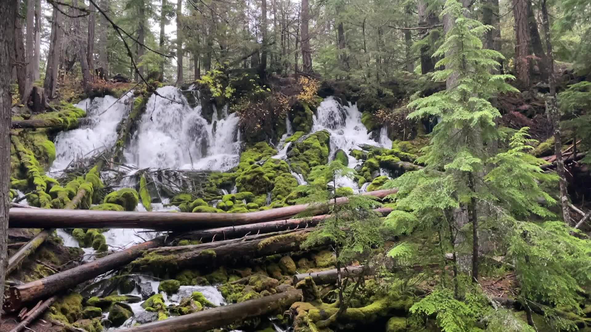 Thumbnail image for In Oregon Naturally - Down the North Umpqua
