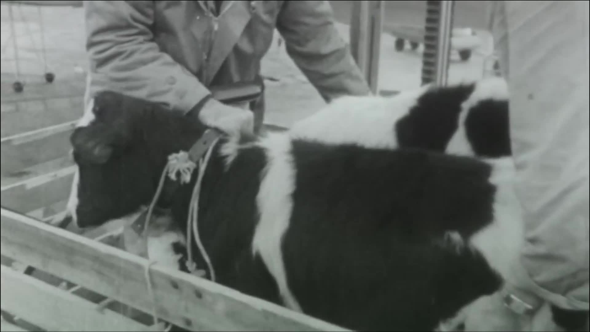 Thumbnail image for Film for Justice: Sharing Hospice - Optimizing the Quality of Life for the Terminally Ill with Barbara West