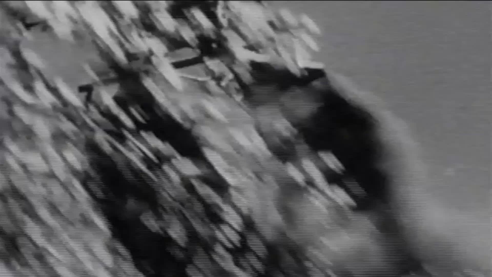 Thumbnail image for Film for Justice - Shorts: Rachael Carson - Silent Spring 1