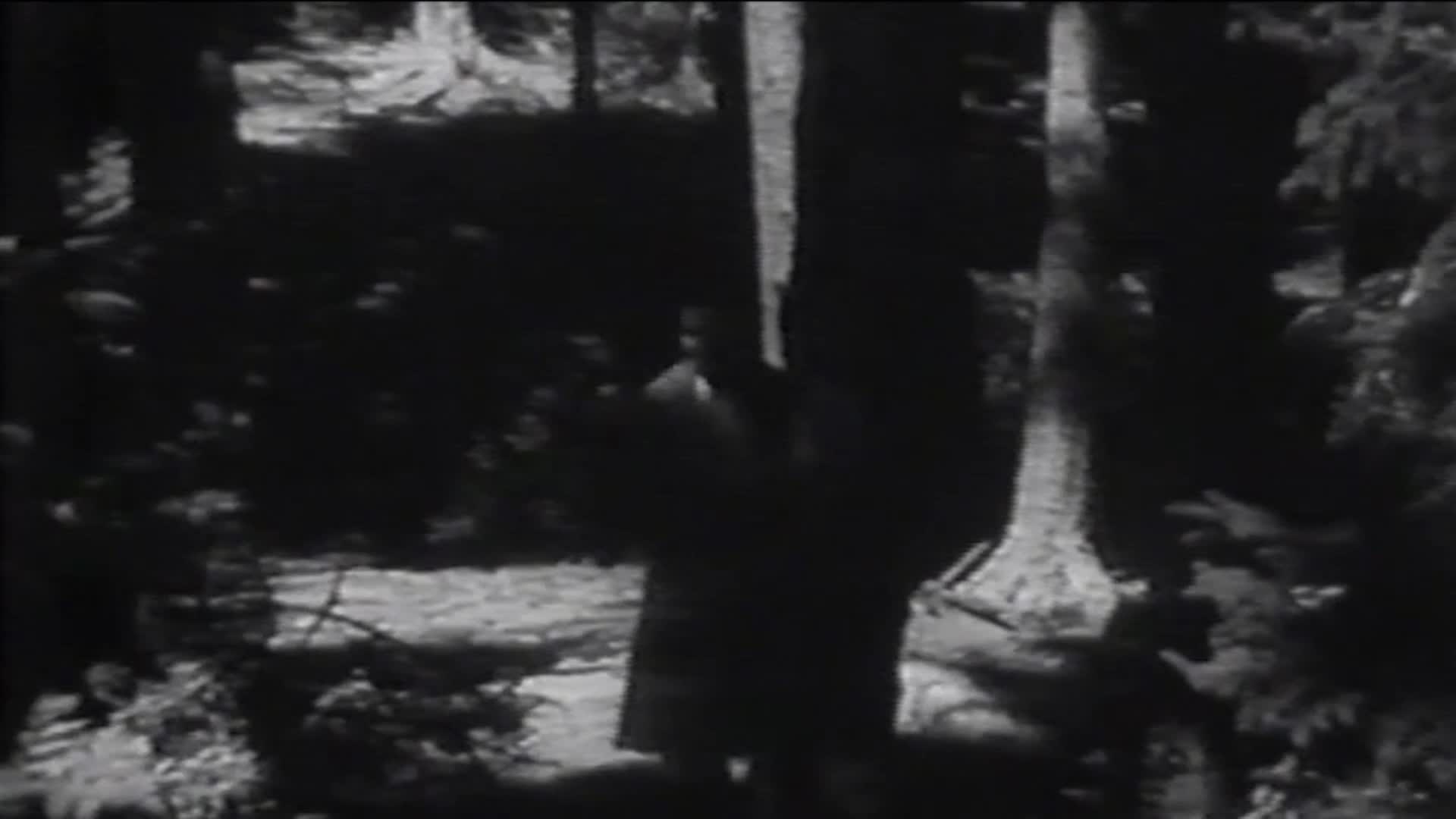 Thumbnail image for Film for Justice - Shorts: Rachael Carson - Silent Spring 3