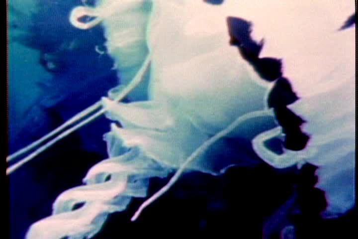 Thumbnail image for Radiance: The Experience of Light