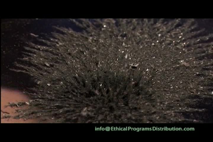 Thumbnail image for Science Panel: The Earth's Magnetic Field is Fluctuating