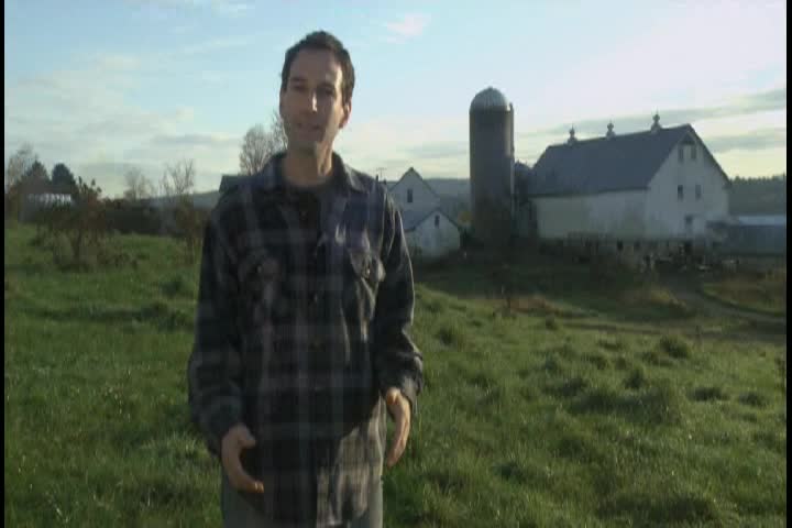 Thumbnail image for The Farmer's Market - Where Your Food Comes from Matters