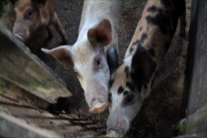 Thumbnail image for Explore with Charles Annenburg: China, Costa Rica, U.S.