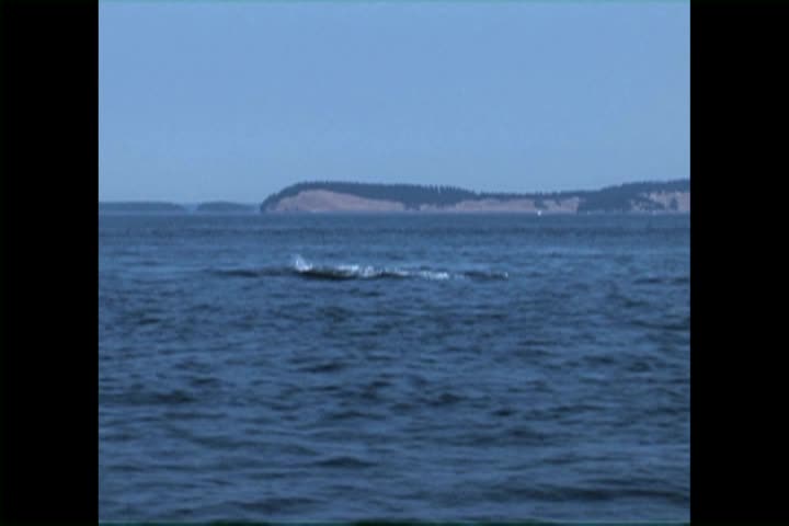 Thumbnail image for Explore with Charles Annenburg: From the Yangtze to the Hood