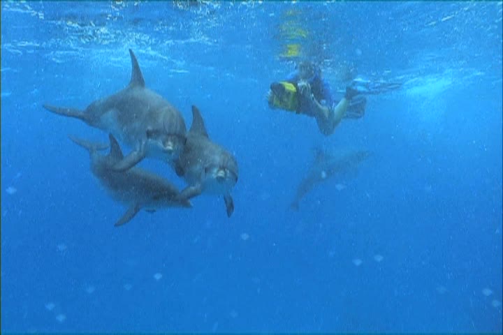 Thumbnail image for Explore with Charles Annenburg: Nature Collection