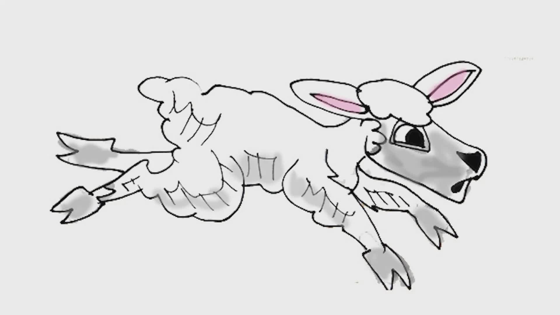 Thumbnail image for The Dr. Draw Show: Sheep Show