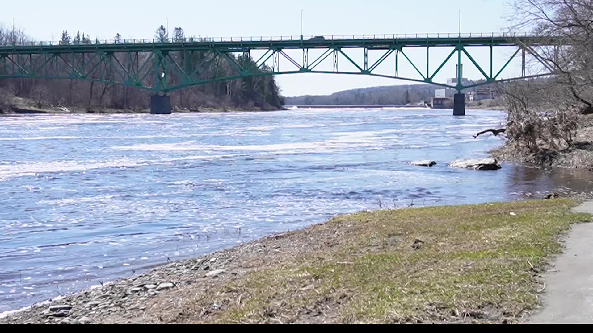 Thumbnail image for Recover Loud! Danielle - Affected other, affecting change - Pt 2