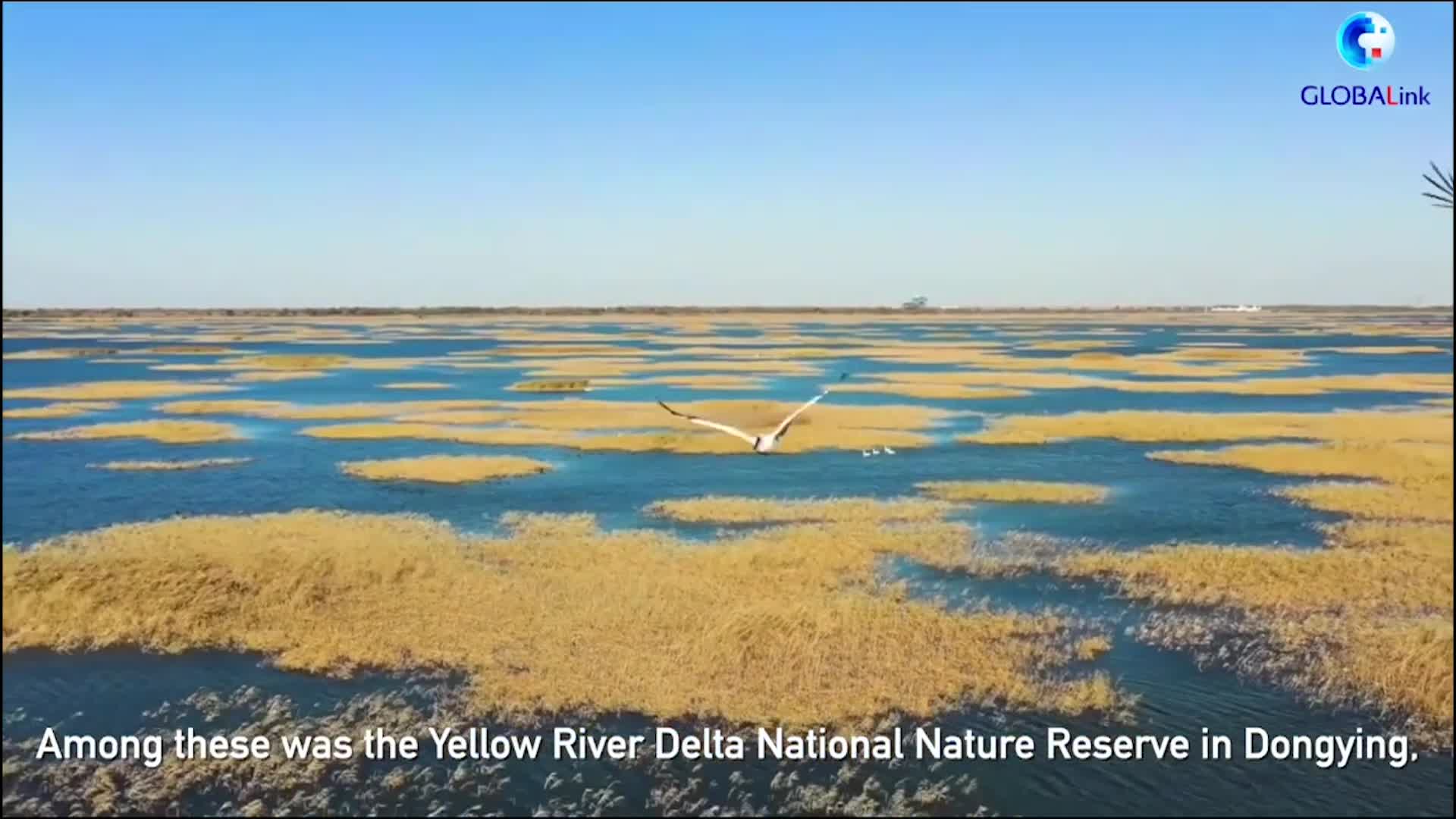 Thumbnail image for Eastern China Nature Reserve