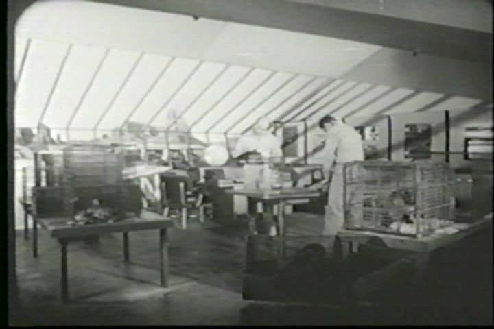 The Dungeon of Dr. Dreck: Monster from Green Hell