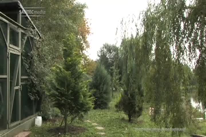 Thumbnail image for Helping Animals, Saving Lives: Caring for Birds