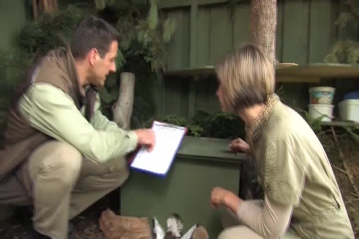 Thumbnail image for Helping Animals, Saving Lives: Hedgehogs Back to the Wild