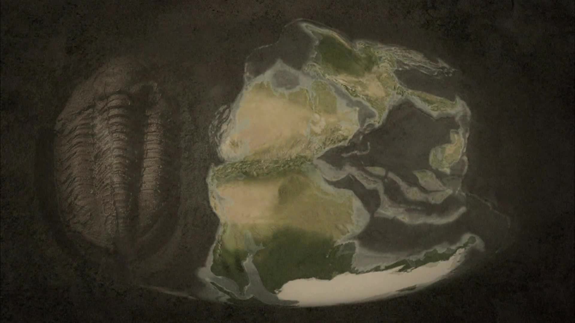 History of Life: Extinction - An End and a New Beginning