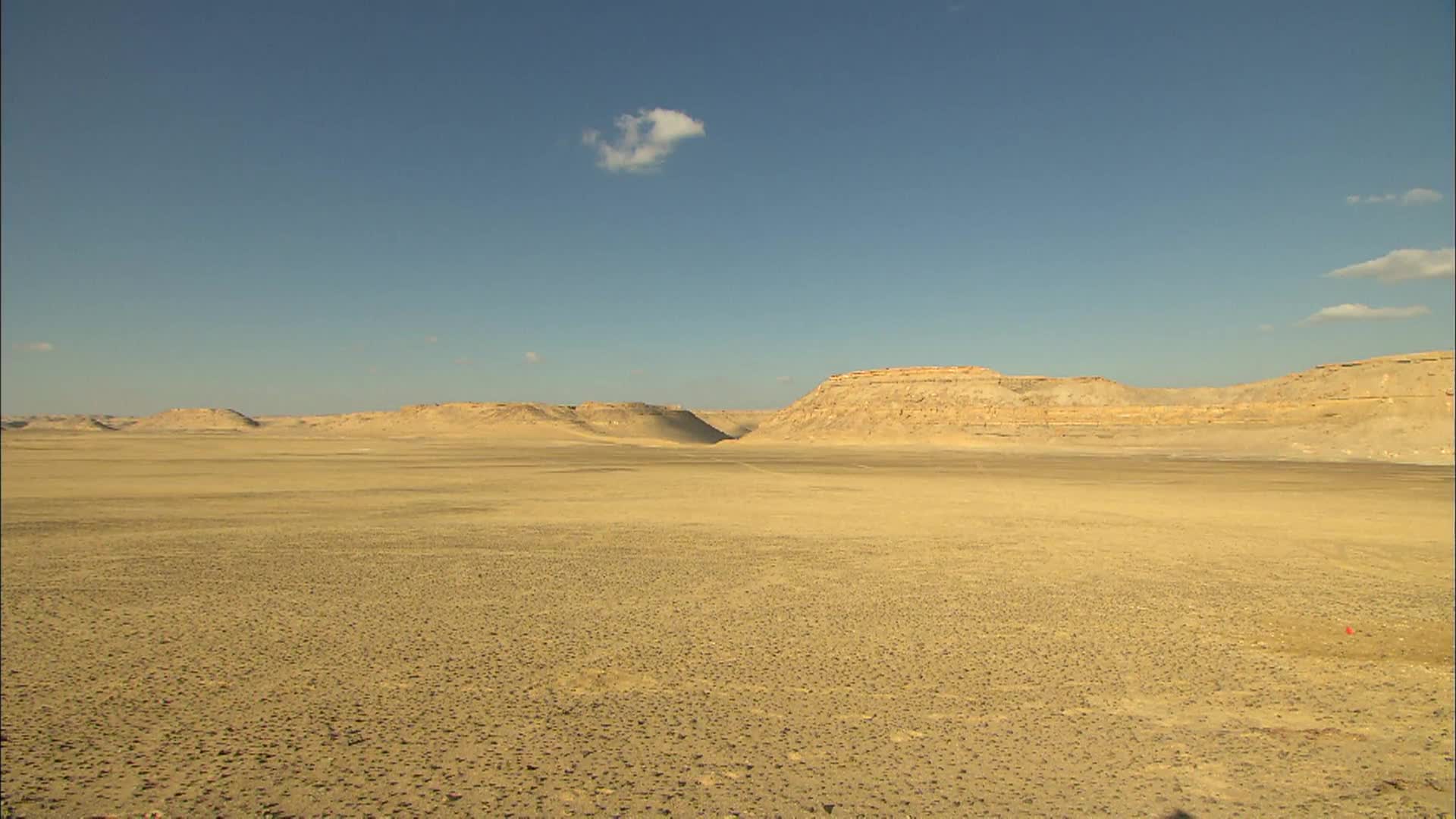 Thumbnail image for History of Life: The Landing