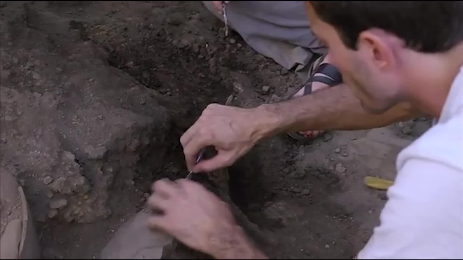 Thumbnail image for Strata - Portraits of Humanity: December 2024