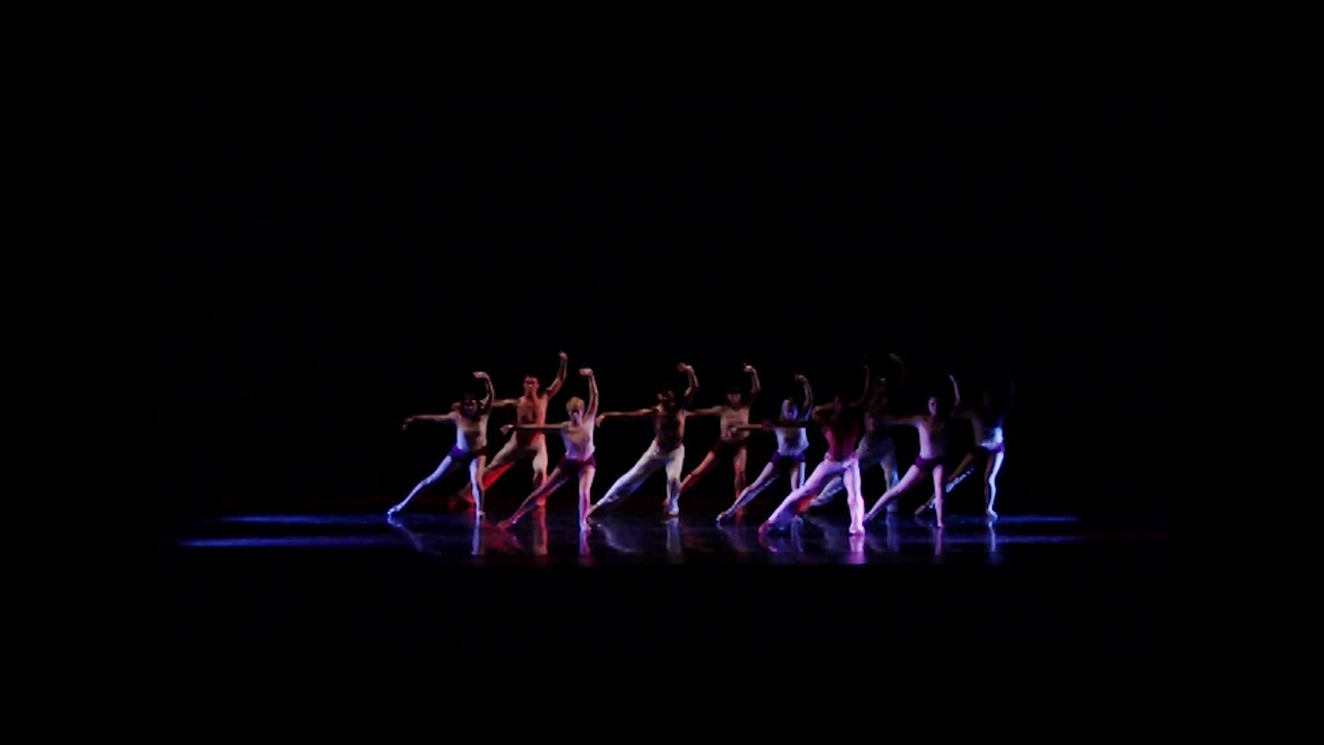 Thumbnail image for Mareck Center for Dance 2014: CRAVE