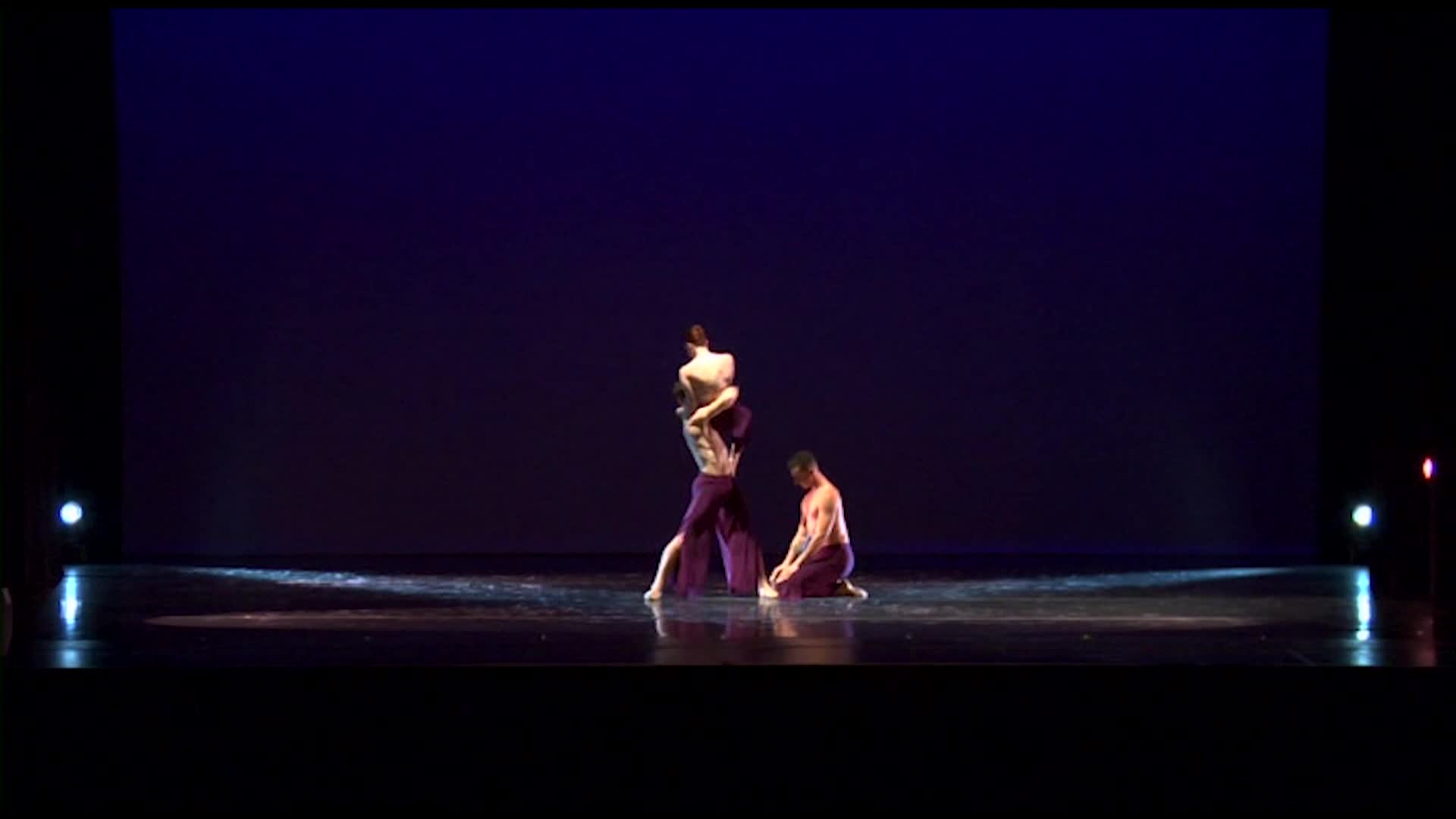 Thumbnail image for Mareck Center for Dance 2015: Poised In Flux