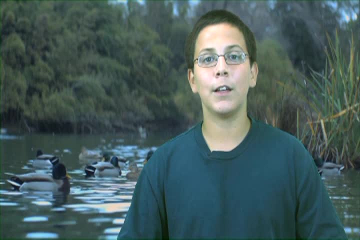 Thumbnail image for Classroom Moments: Soap Pollution