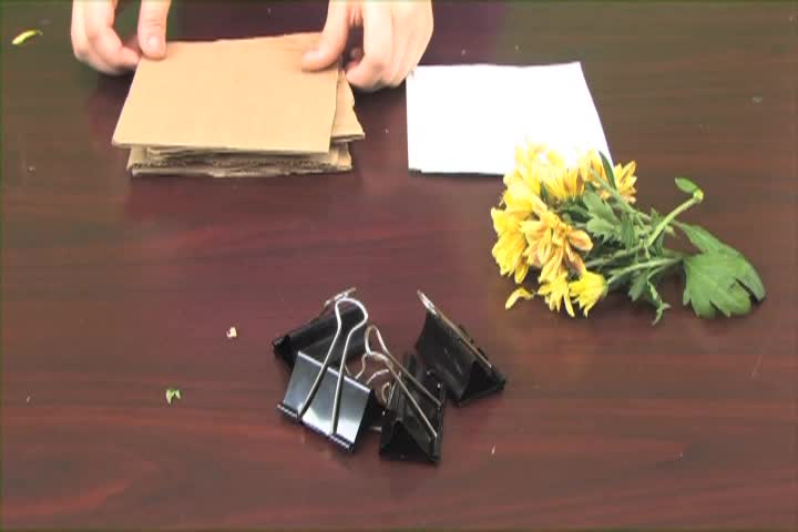 Classroom Moments: Flowerpress