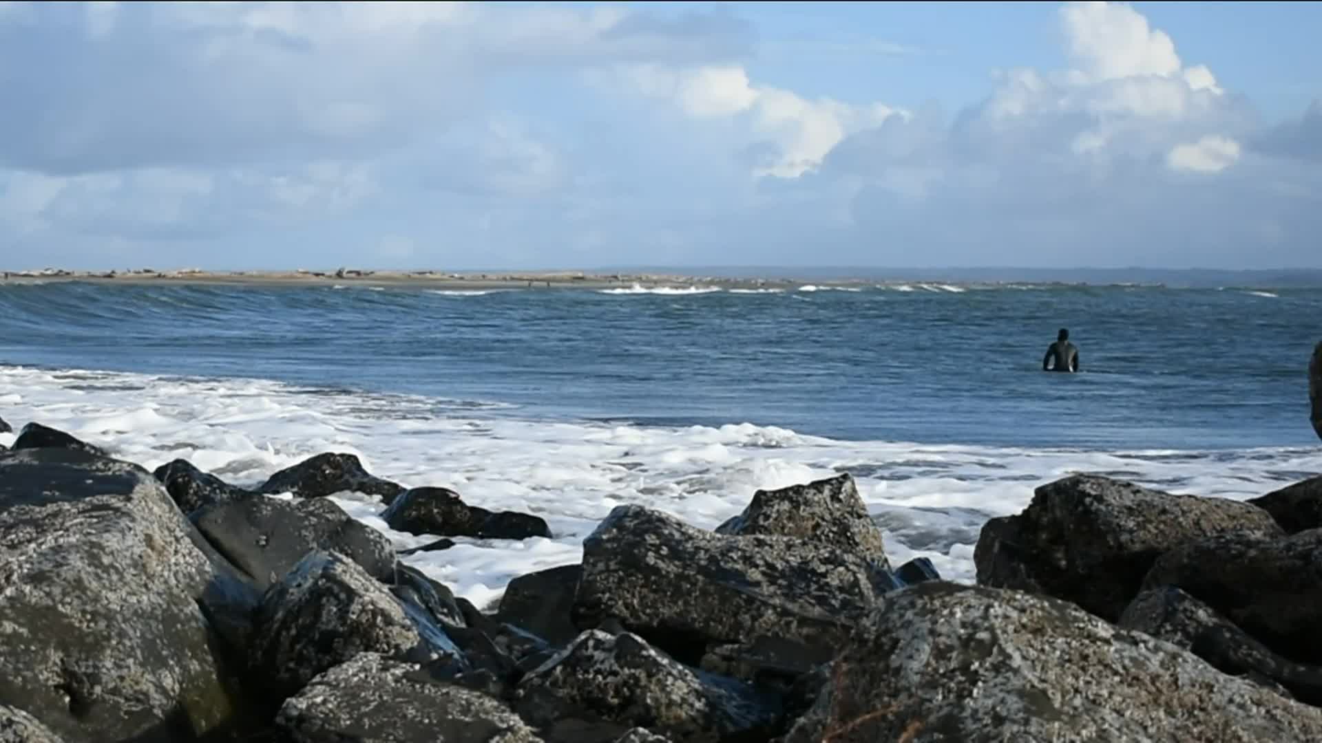 Thumbnail image for Exploring Damon Point