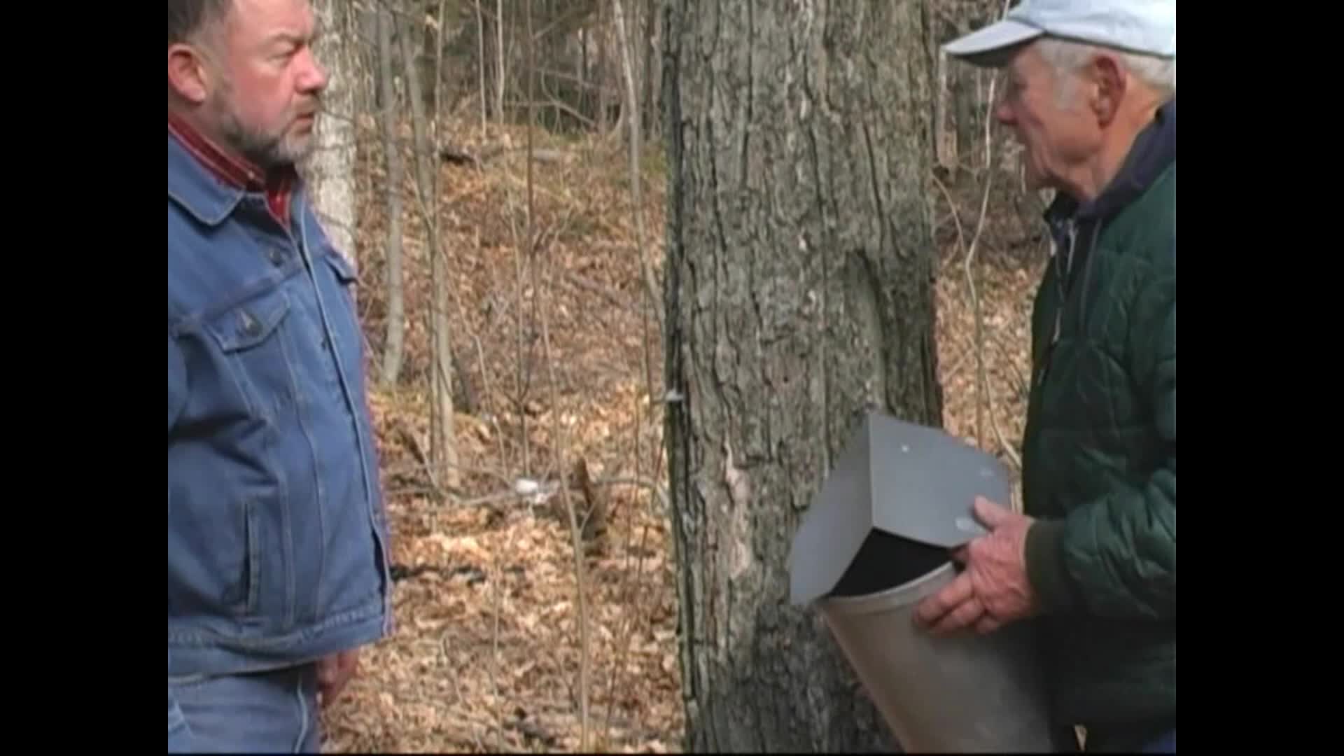 Making Maple Syrup in Door County
