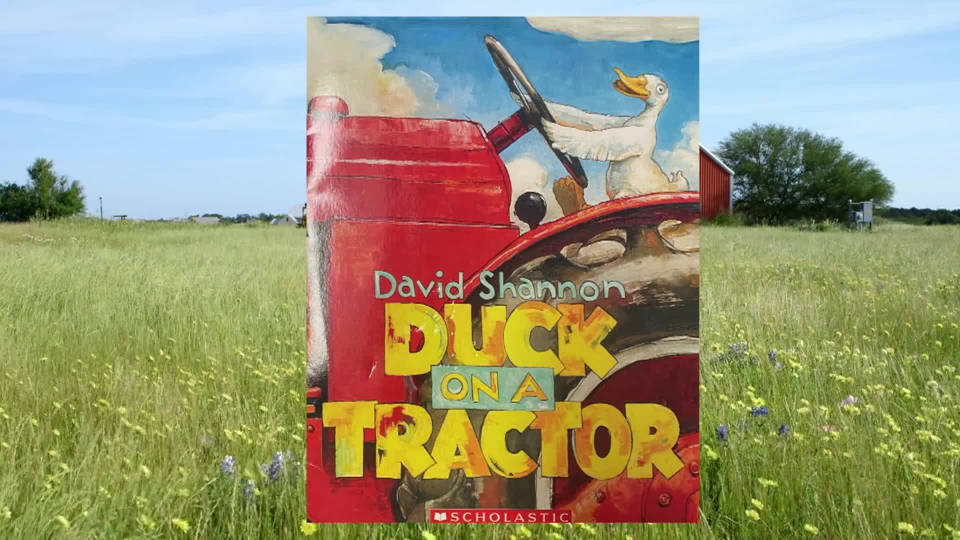 Cosette's Enchanted Journeys: Duck on A Tractor by David Shannon
