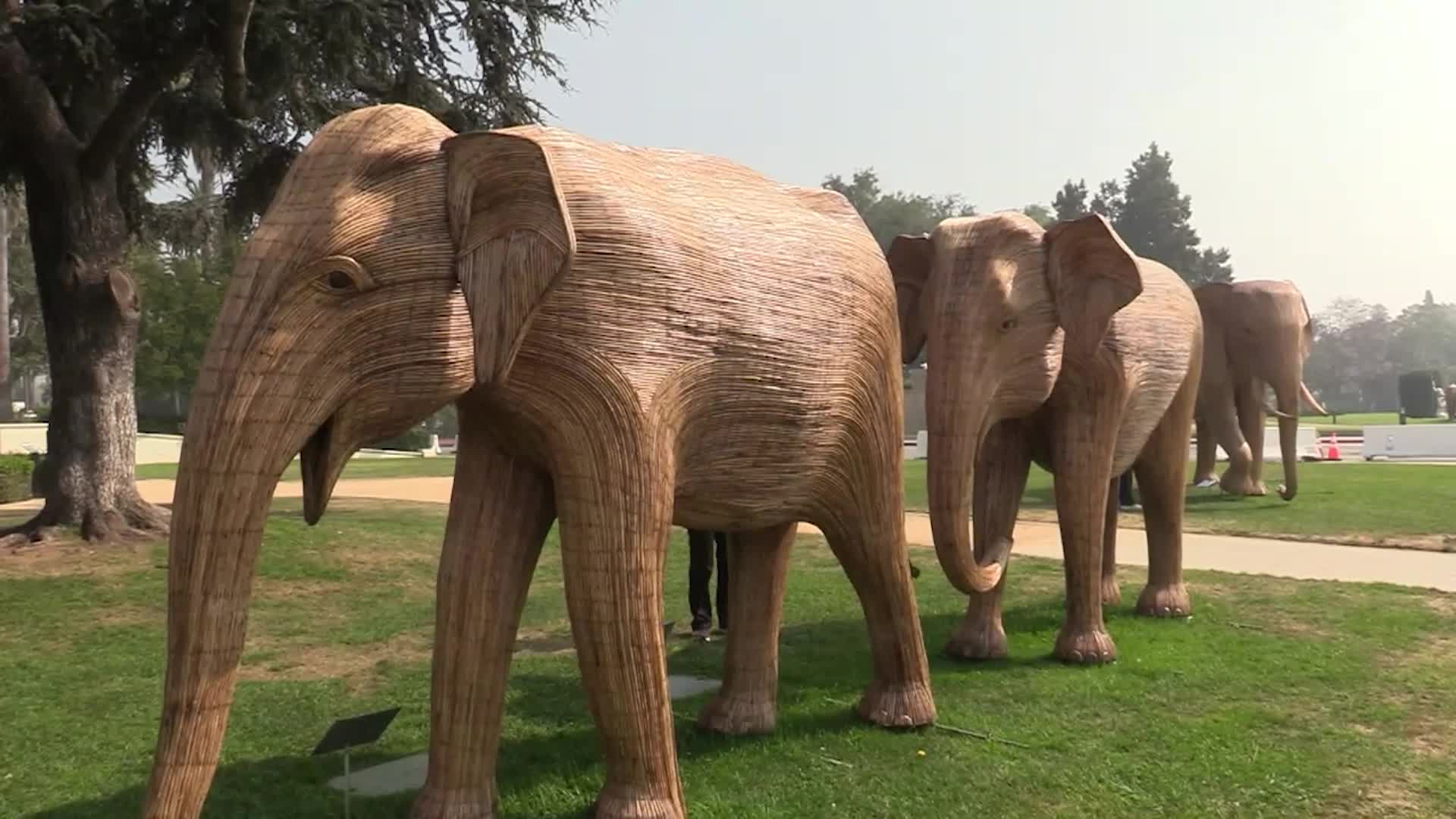 Thumbnail image for Out and About with Roger Martin: The Great Elephant Migration & Roots of Cool