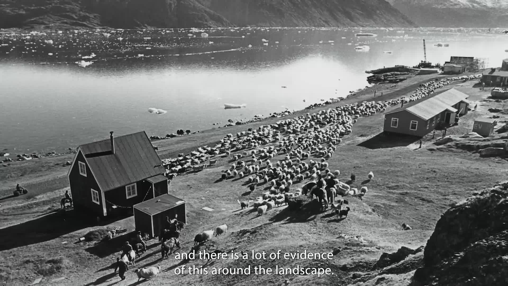 Thumbnail image for Strata - Portraits of Humanity: August 2025