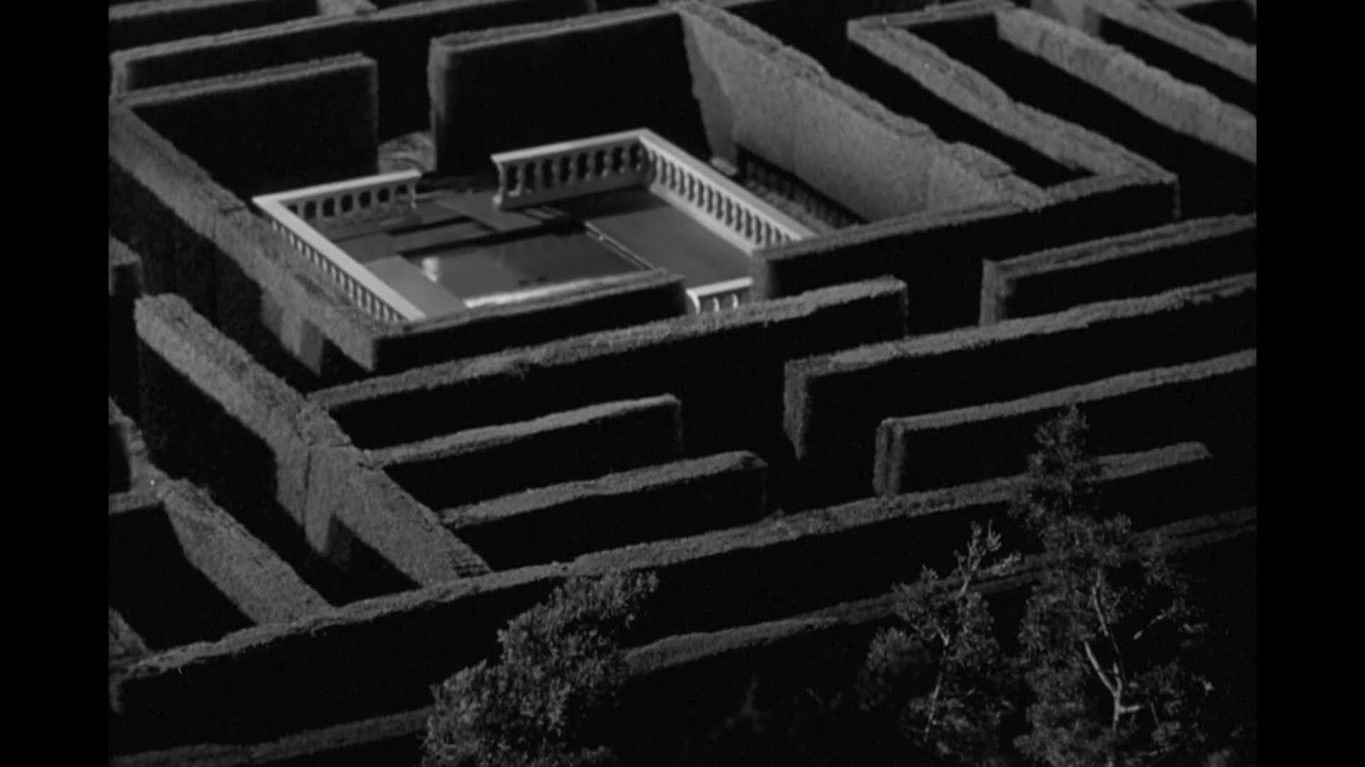 Livingston Presents: The Maze