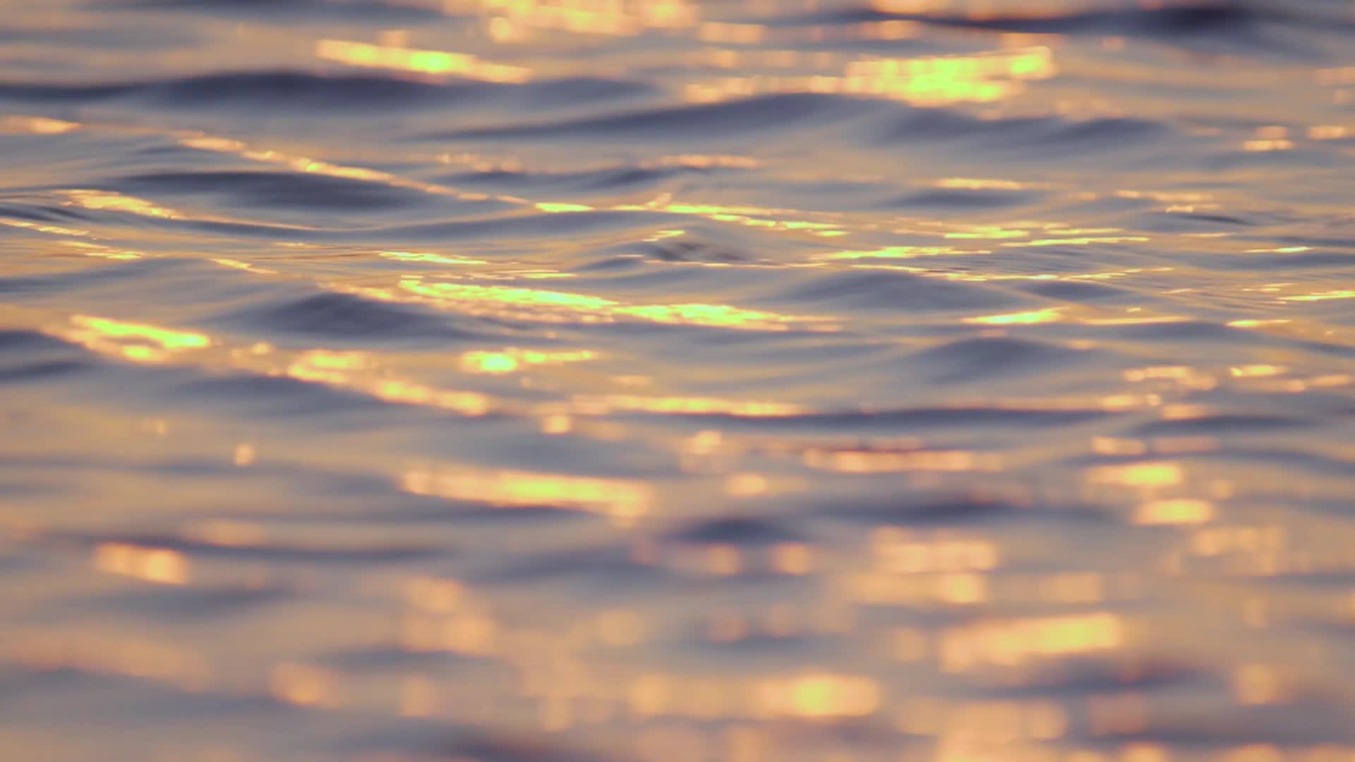 Texas Parks and Wildlife Season 34 Episode 3